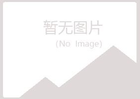 铁锋区山柏水泥有限公司